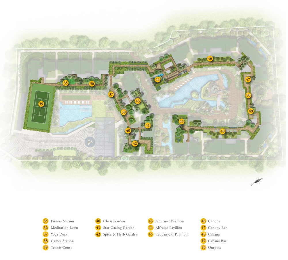 Daintree-Residence-Treetop-Walk_1000