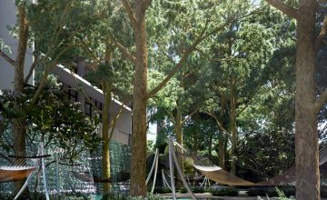 Daintree-residence-Hammock-Bay