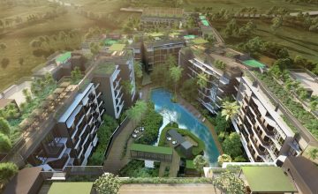 Daintree-residence-Treetop-Walk