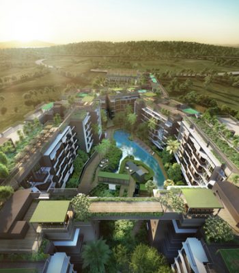 Daintree-residence-Treetop-Walk